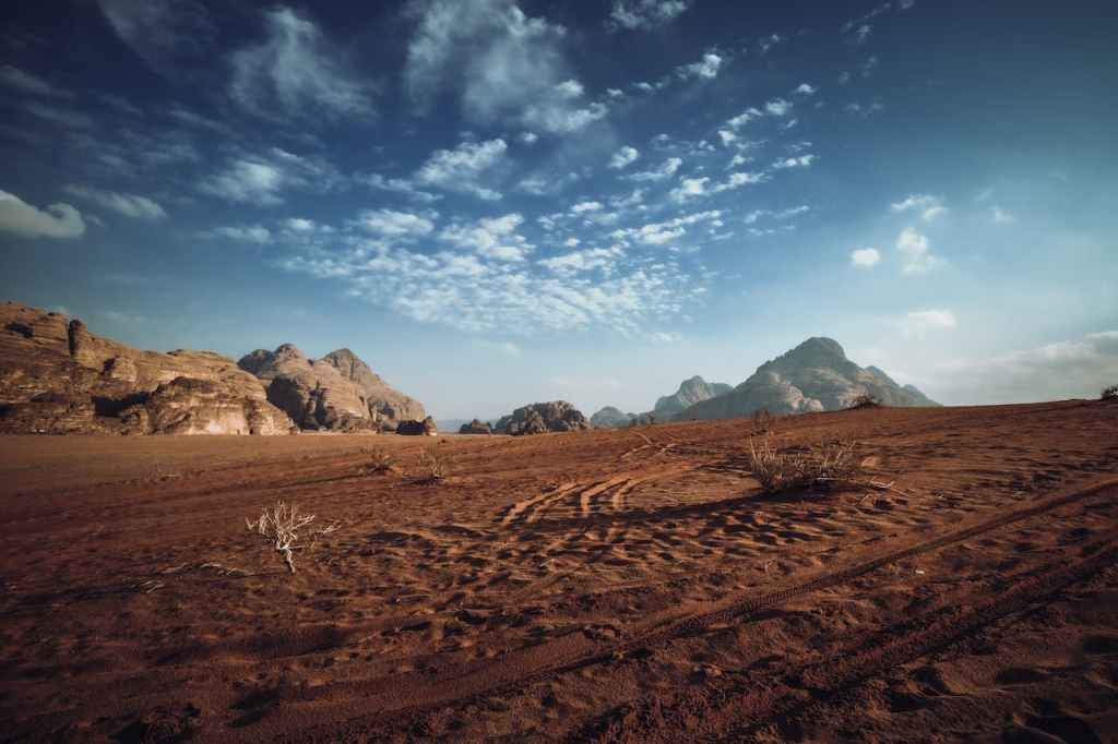The Wadi Rum Desert at daytime.