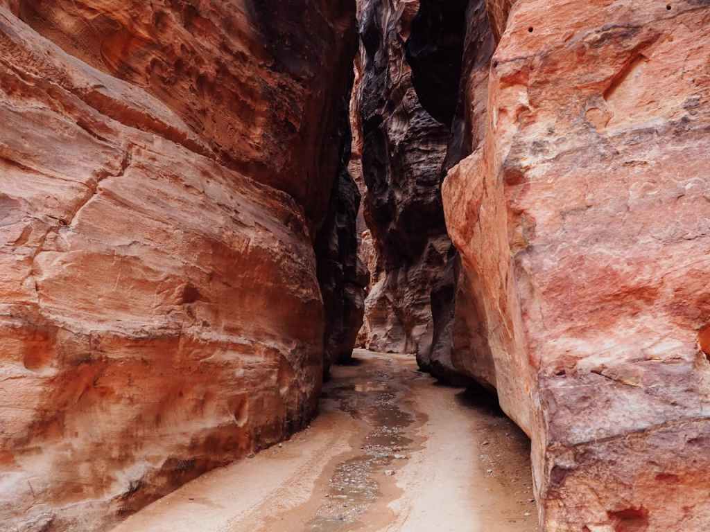 Siq Petra Sandstone Cliffs