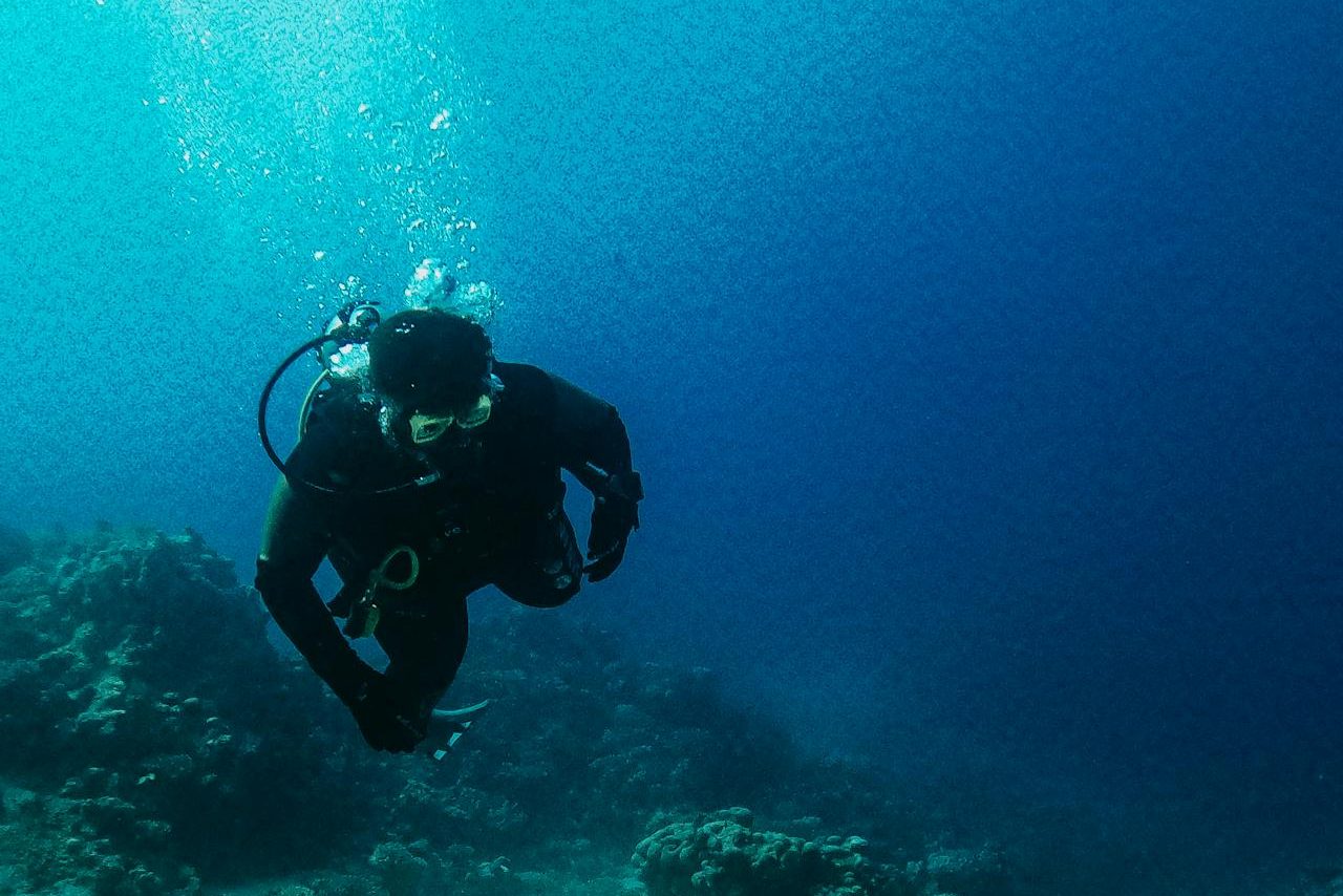 Scuba diving Red Sea