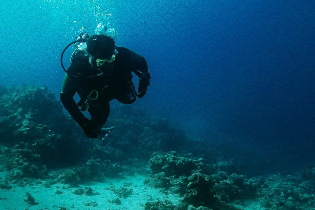 Scuba diver Red Sea 