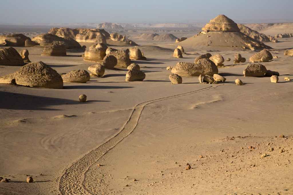 Wadi El-Hitan Egypt