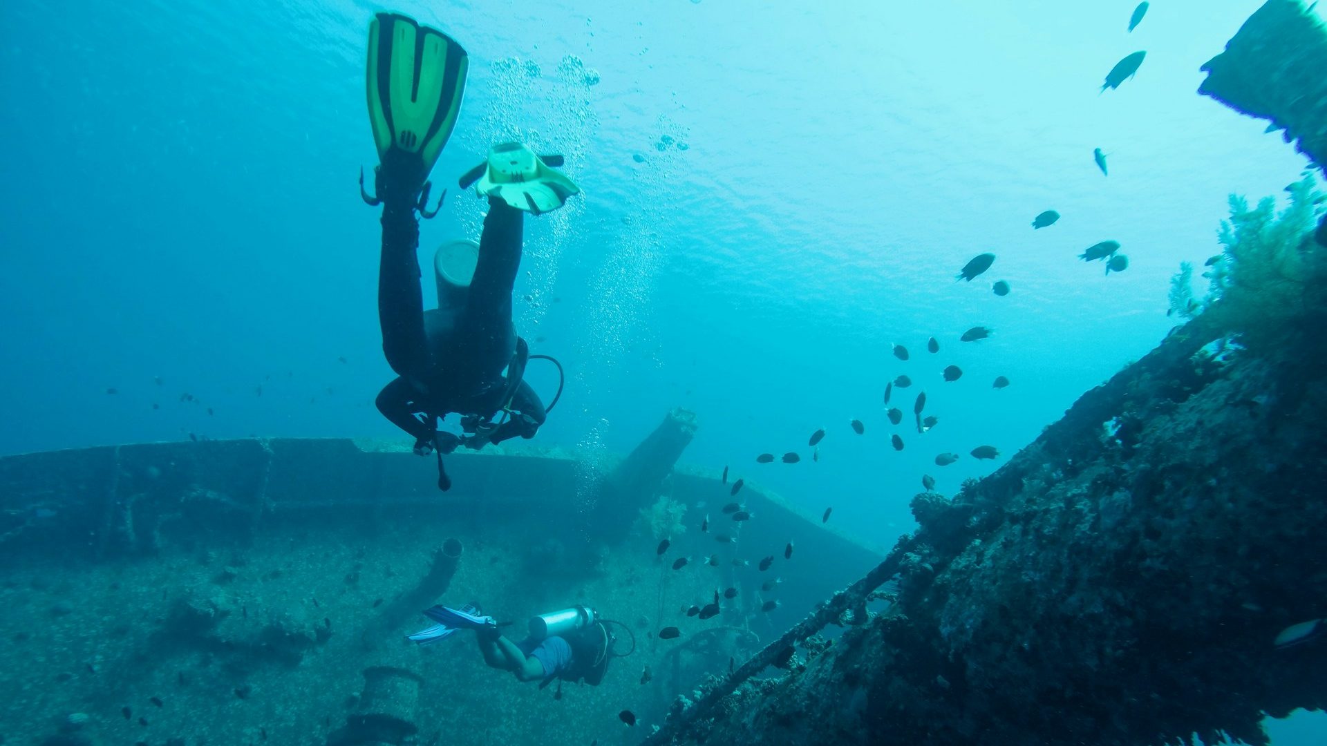 Wreck Diving in Aqaba