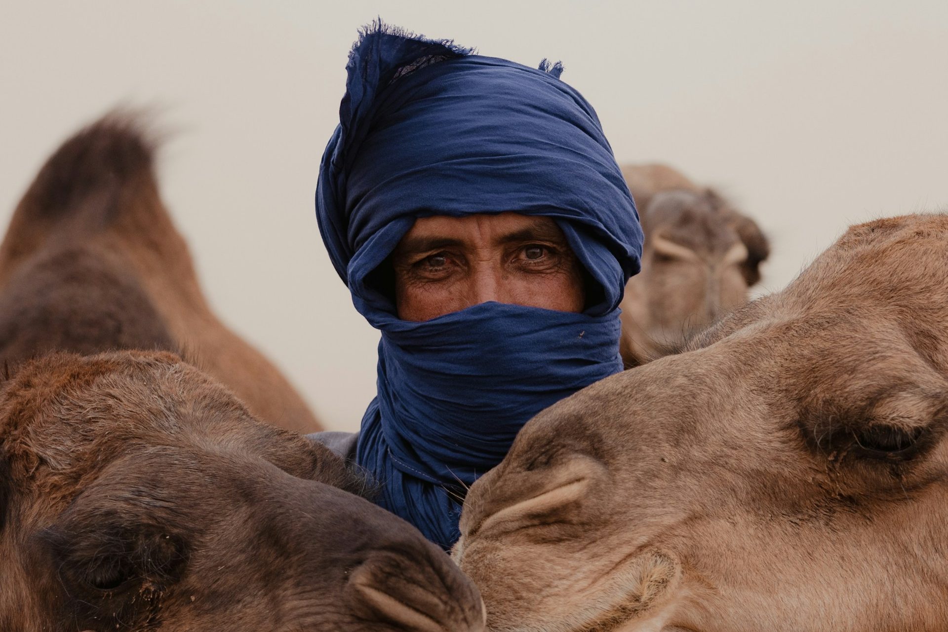 Bedouin Culture: Everything You Need to Know 