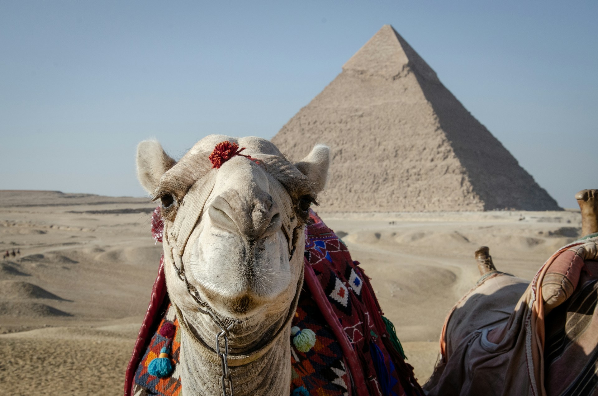 What is The Best Place to Go in Egypt? 3 Recommendations for Your Egypt Trip