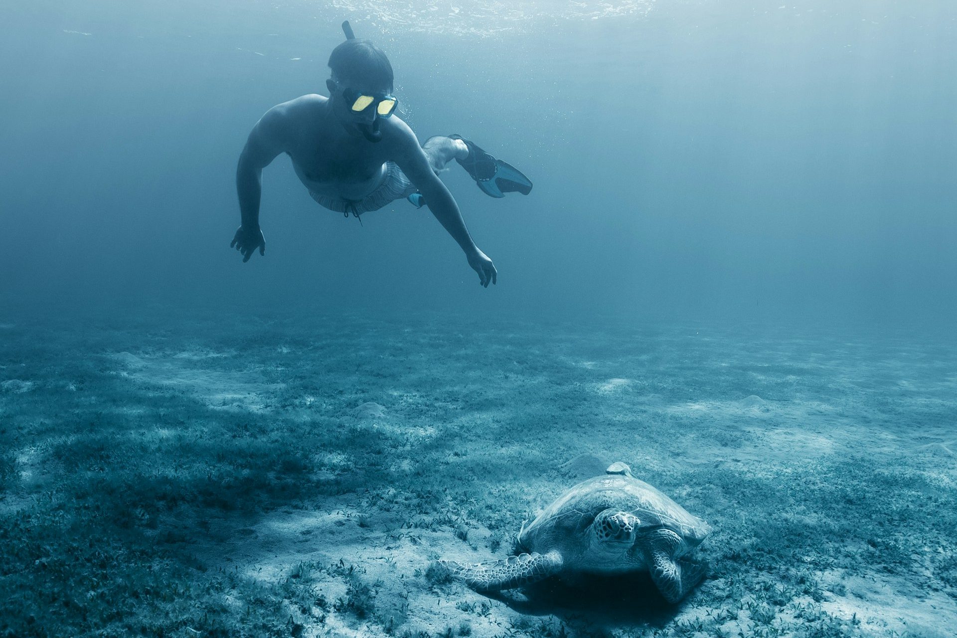 Everything You Need to Know About Diving in the Red Sea
